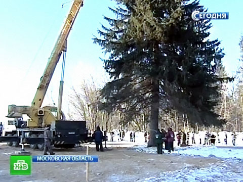 Новый Год Москва И Московская Область