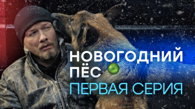 Смотреть Сериал Новогодний Переполох Смотреть Сериал Новогодний Переполох
