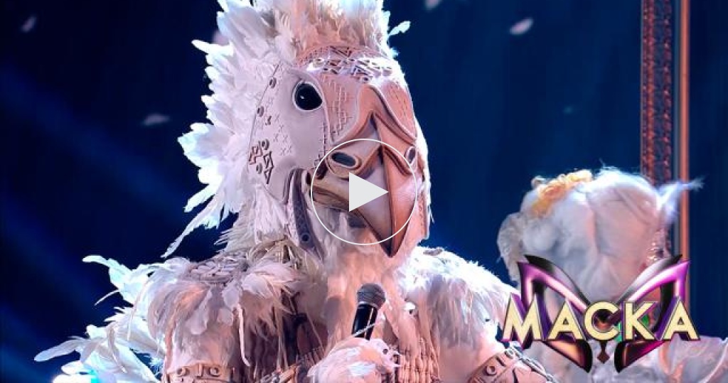 Белый орел шоу. Маска шоу телекомпании нтв. Марк тишман орел маска. Шоу маска 2 белый орел. Орел маска нтв.